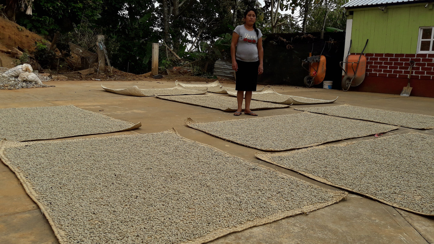 Las Cotorras Washed Decaf