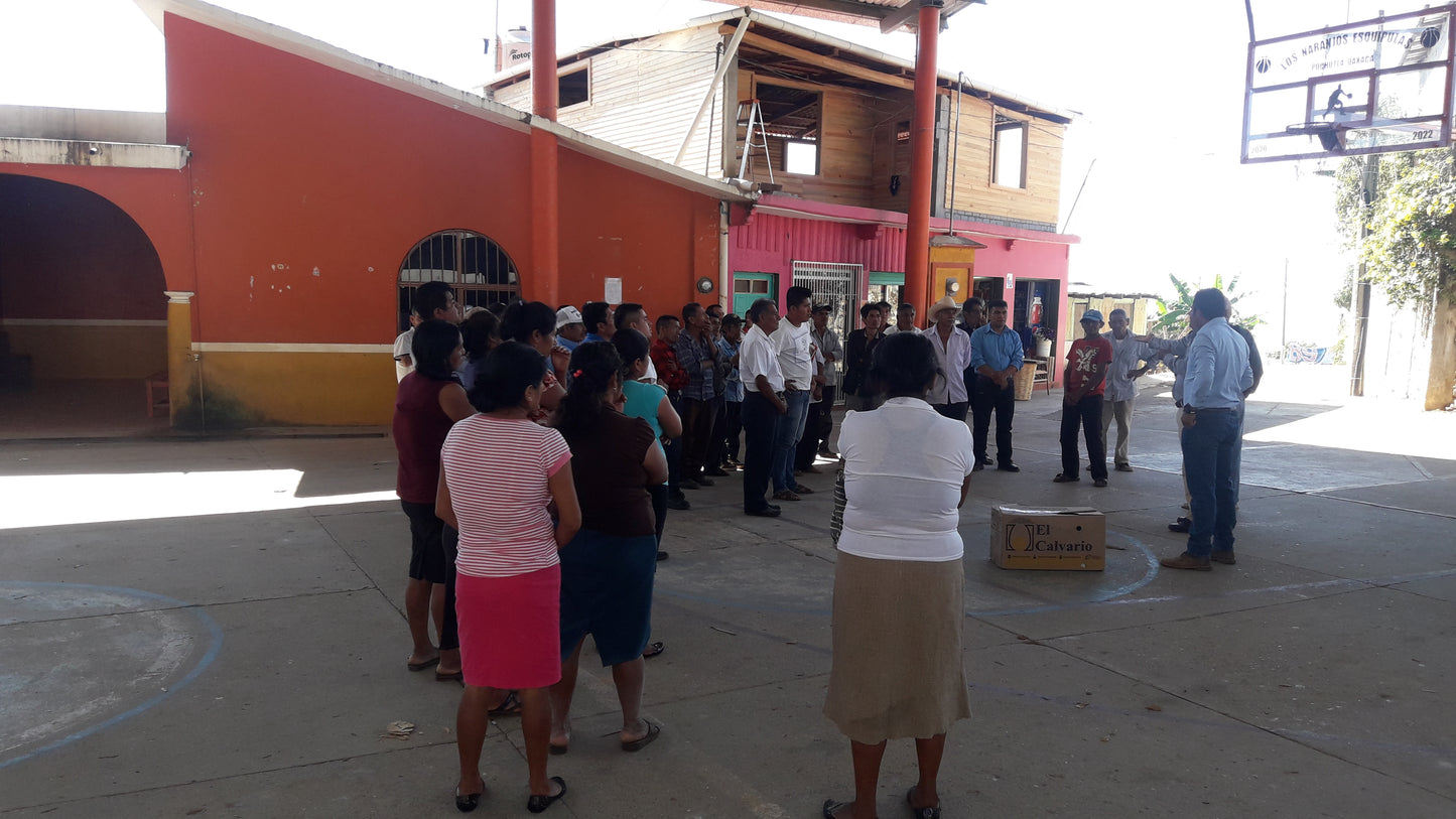 Las Cotorras Washed Decaf