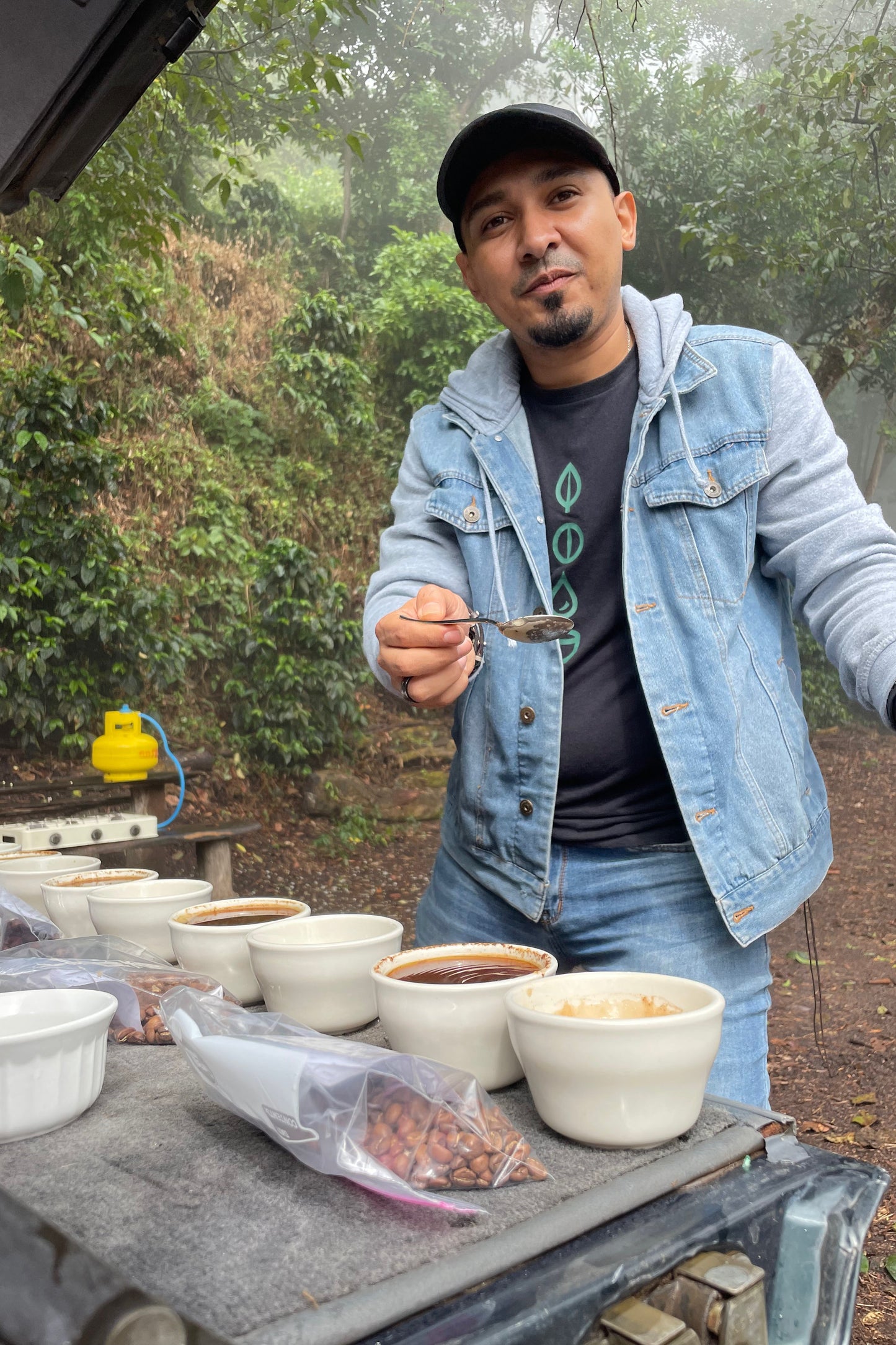Las Brumas WIld Forest Pacamara Honey (125g)