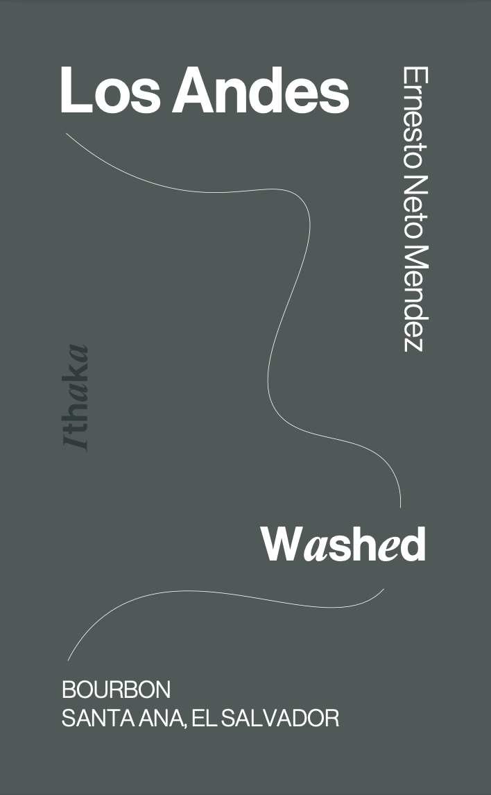 Los Andes Bourbon, Washed