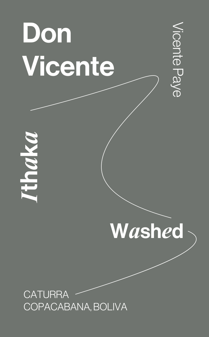 Don Vicente, Caturra, Washed
