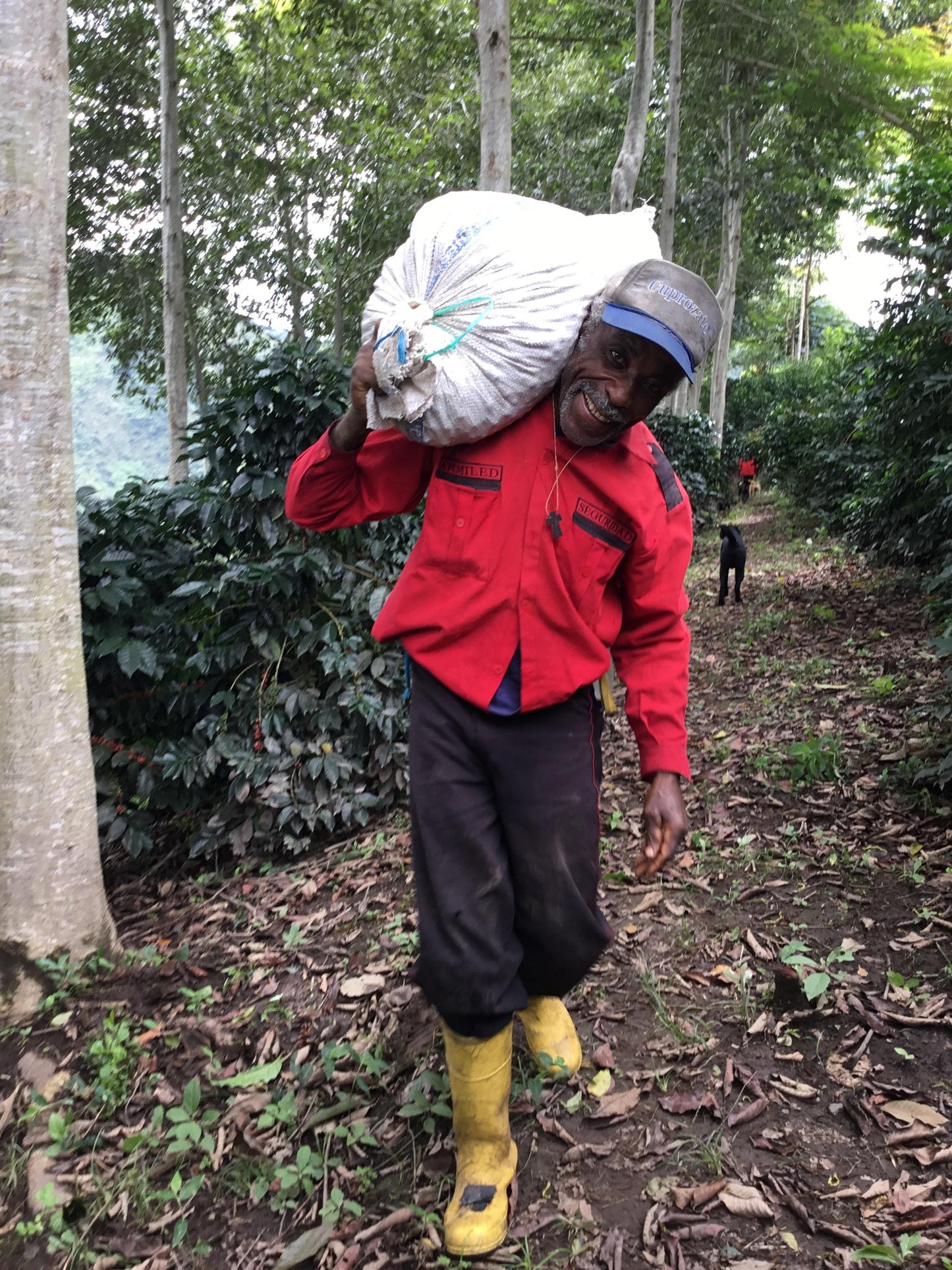 Ecuador Fincas Del Putushio, Typica Mejorado, Fully Washed