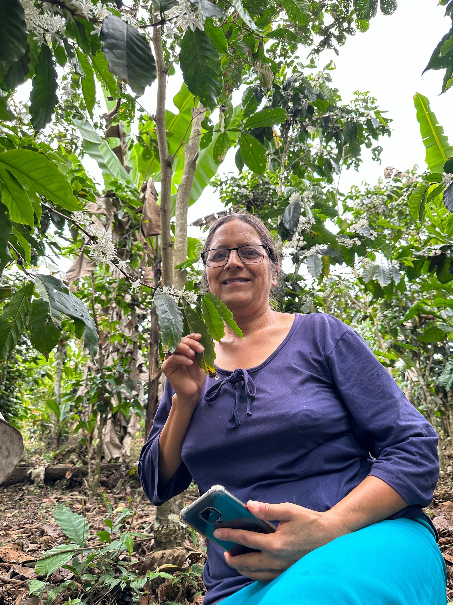 Ecuador Los Romerillos, Mixed Varieties, Washed