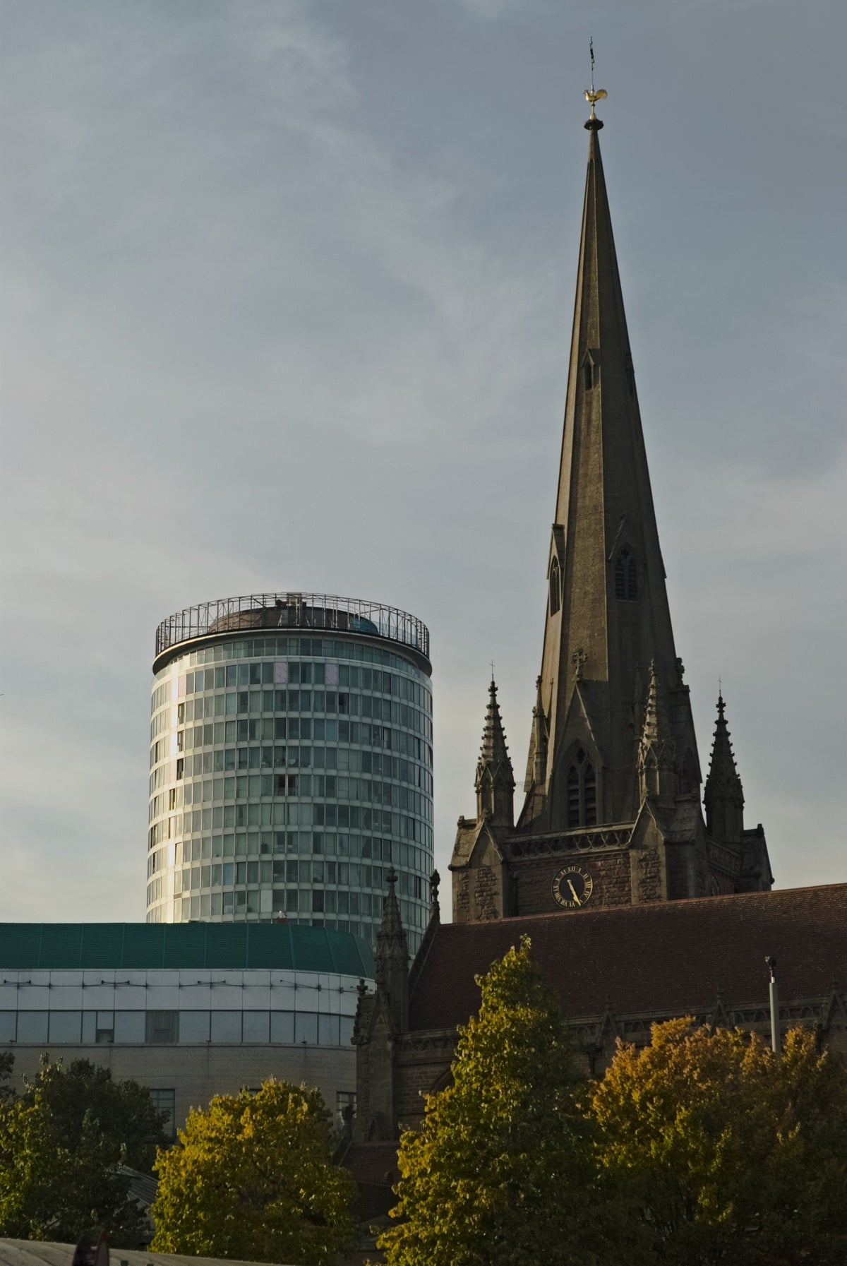 Rooted in Birmingham