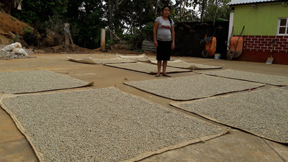 Las Cotorras Washed Decaf