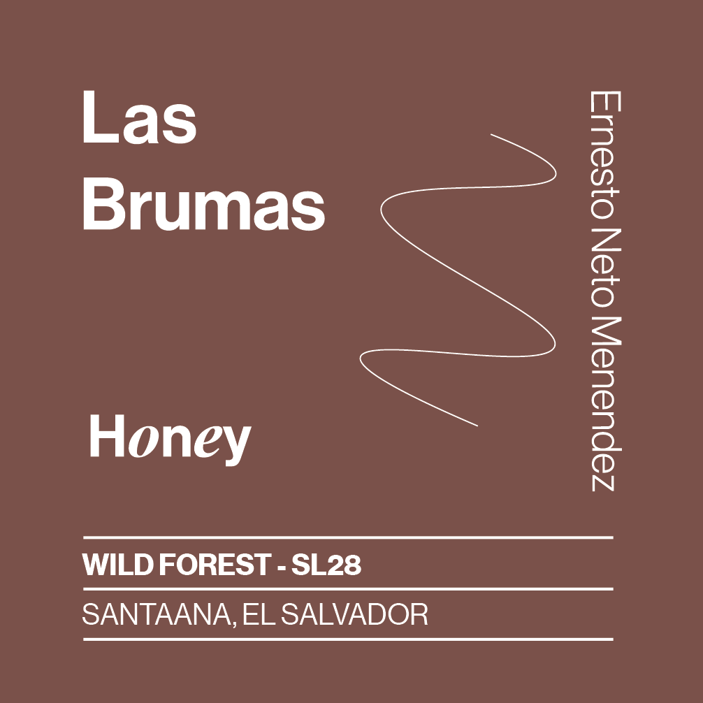El Salvador, Las Brumas, Wild Forest SL28, Honey