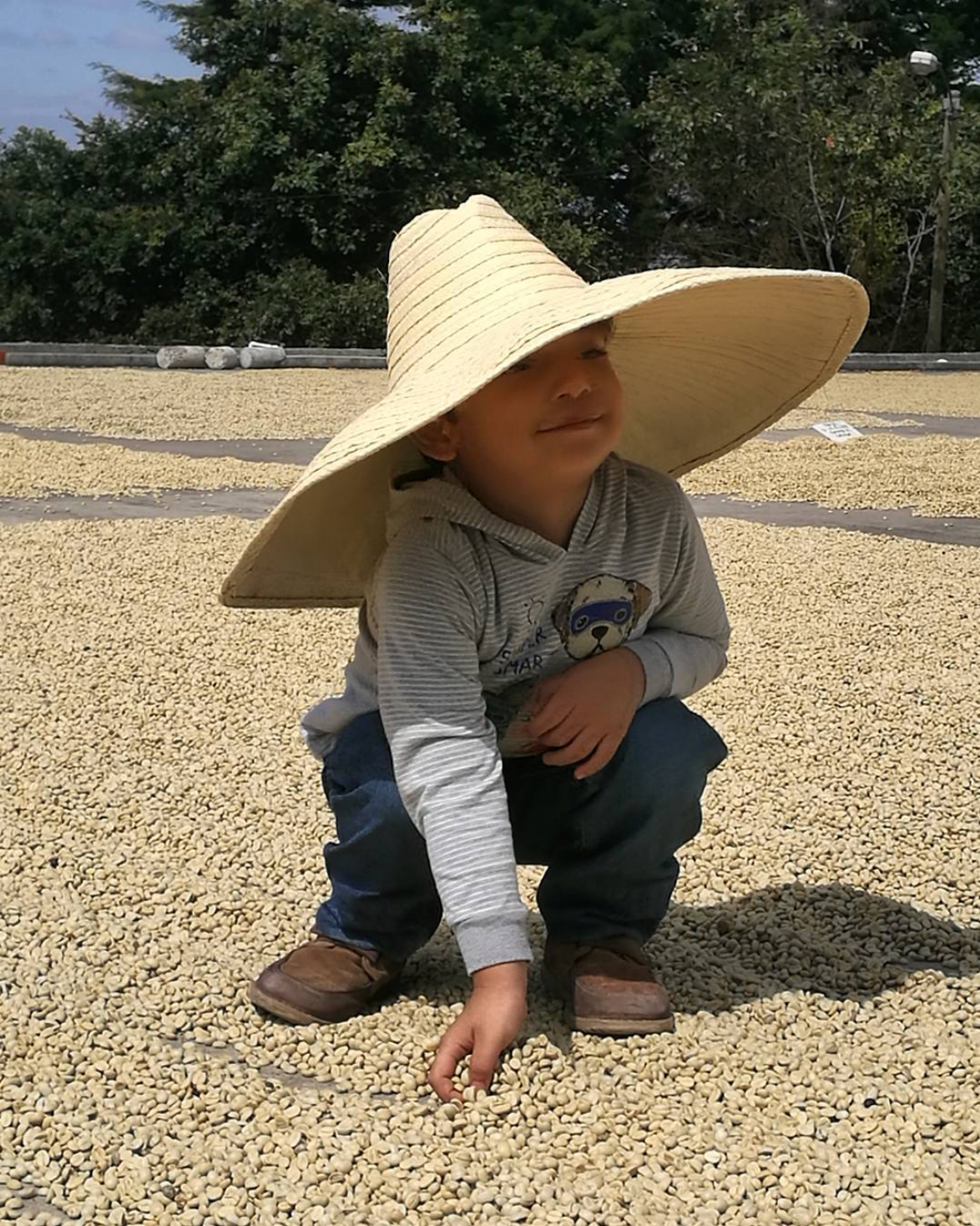 Beto's grandson, Alberto III wearing a large straw hat on a coffee drying patio at the family's mill during harvest