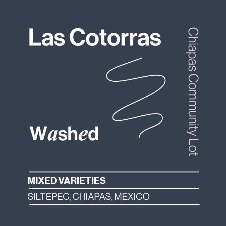 Mexico Las Cotorras Washed