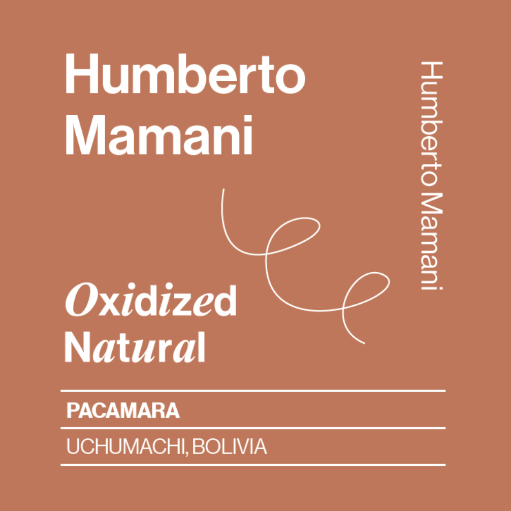Bolivia, Humberto Mamani, Pacamara, Coco (Oxidized) Natural