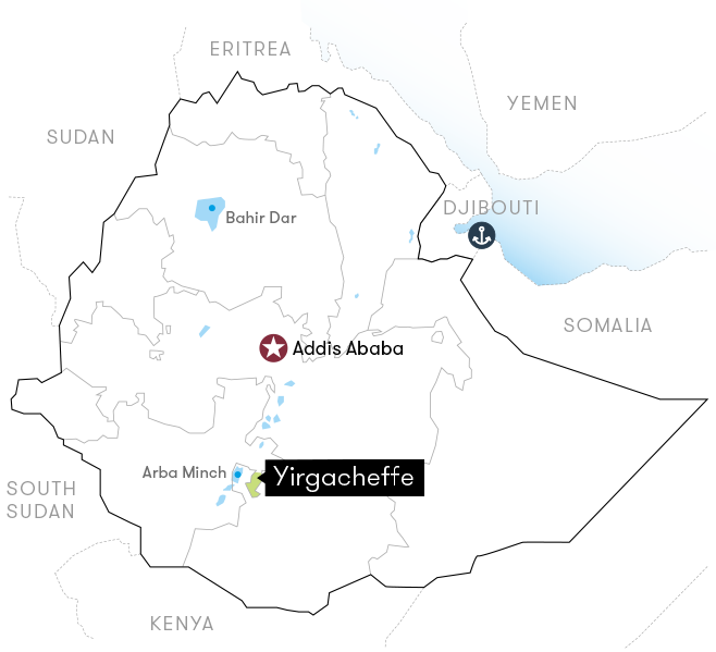 Ethiopia Banko Gotiti, Washed