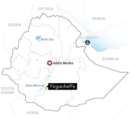 Ethiopia Banko Gotiti, Washed