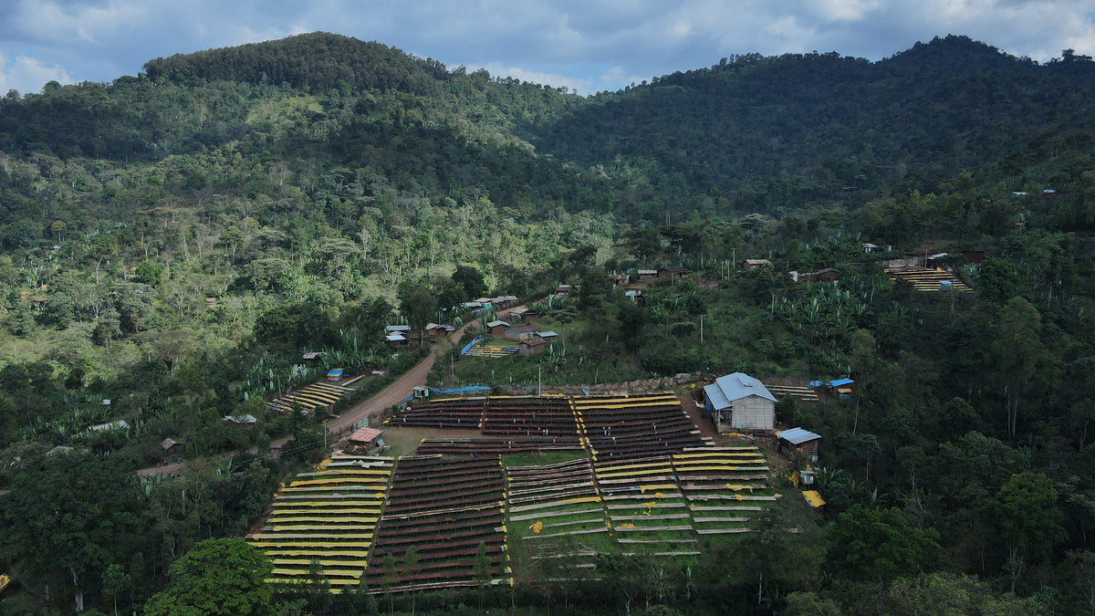 Ethiopia - Aricha