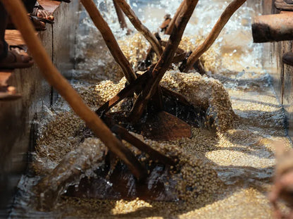 Ethiopia Banko Gotiti, Washed