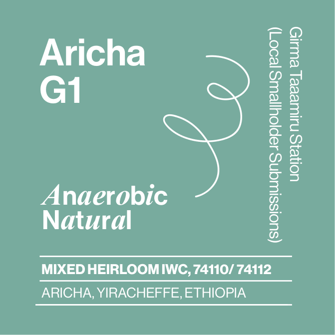 Ethiopia - Aricha