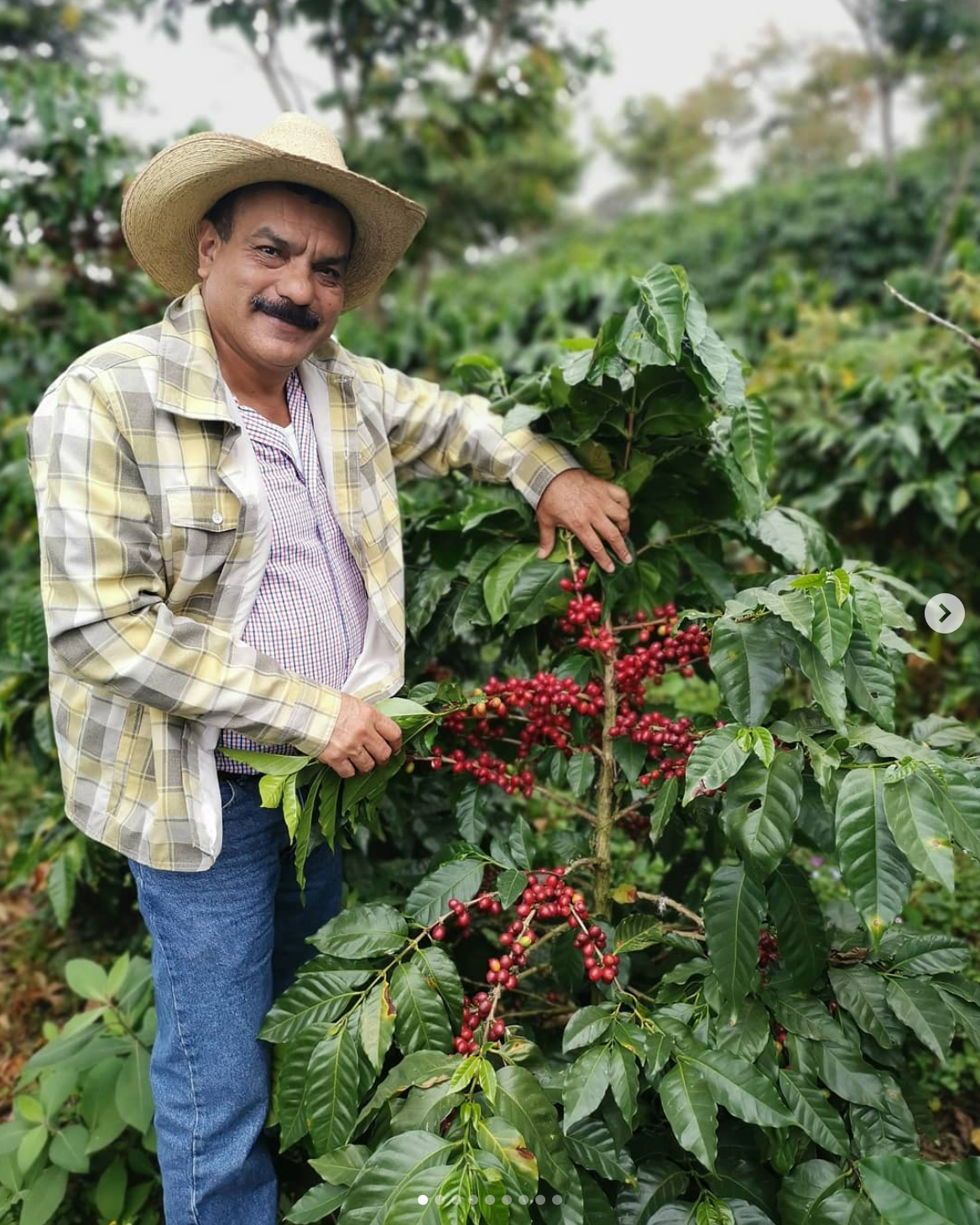 Calahual