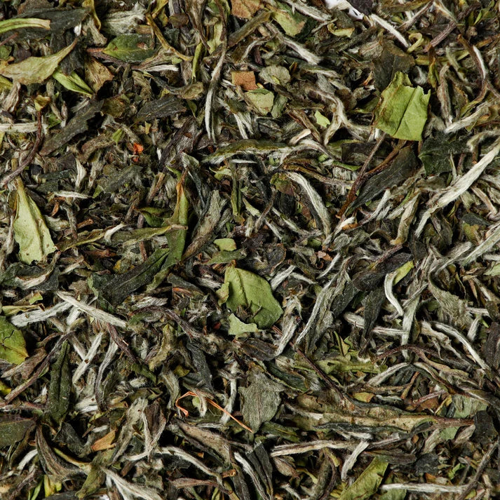 Waterloo Tea - High Grade Peony (Bai Mu Dan)
