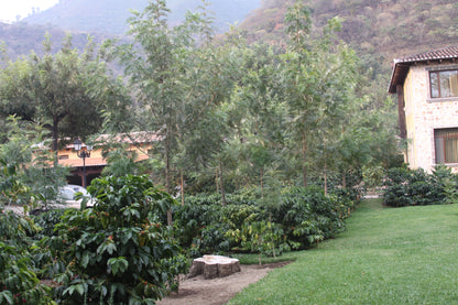 Guatemala Filadelfia, Mixed Varieties Washed