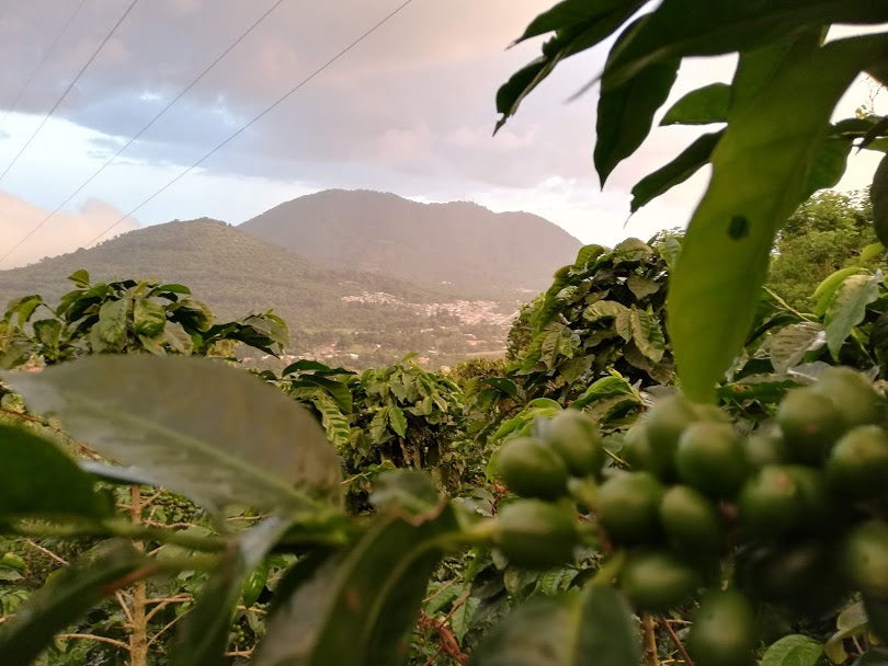 El Salvador - El Imposible