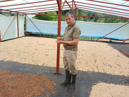 Colombia, Florestales 2, Honey Geisha