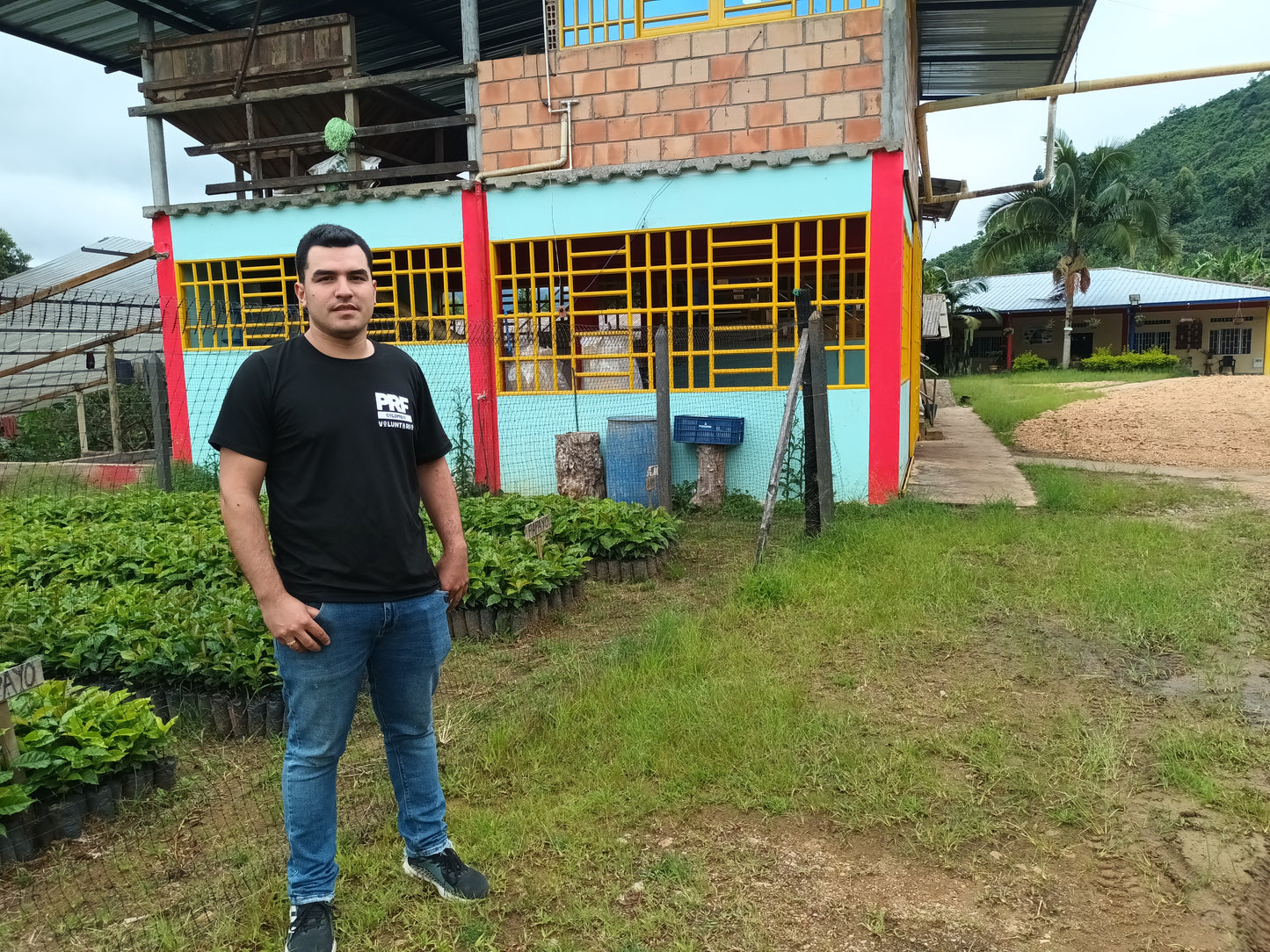 Colombia, Las Brisas, Natural Papayo