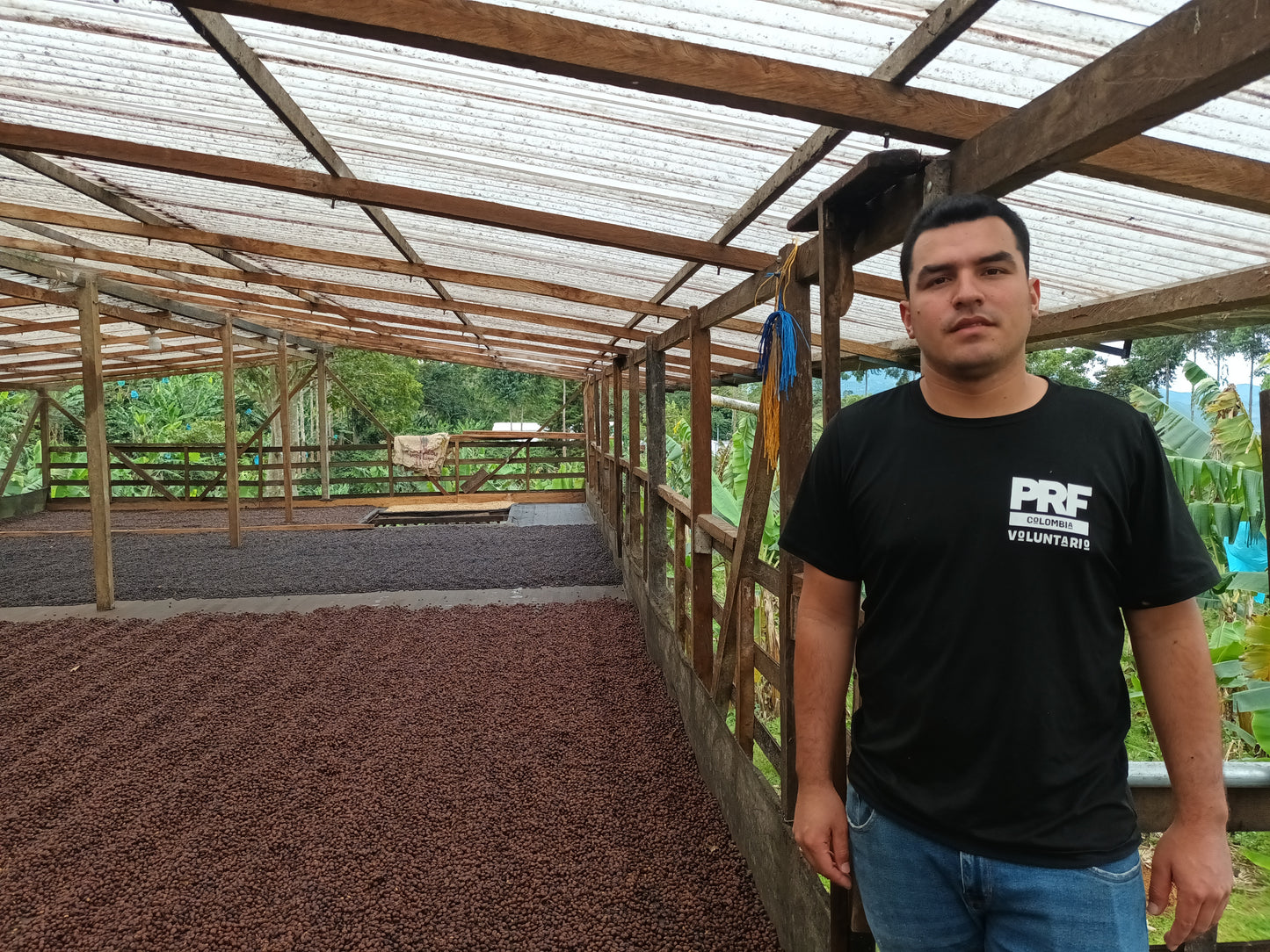 Colombia, Las Brisas, Natural Papayo