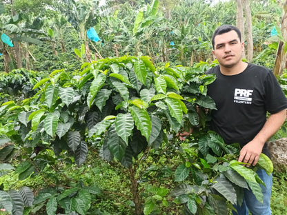Colombia, Las Brisas, Natural Papayo