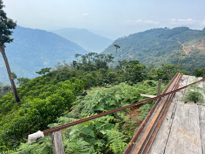 Bolivia La Carmelita, Caturra, Washed