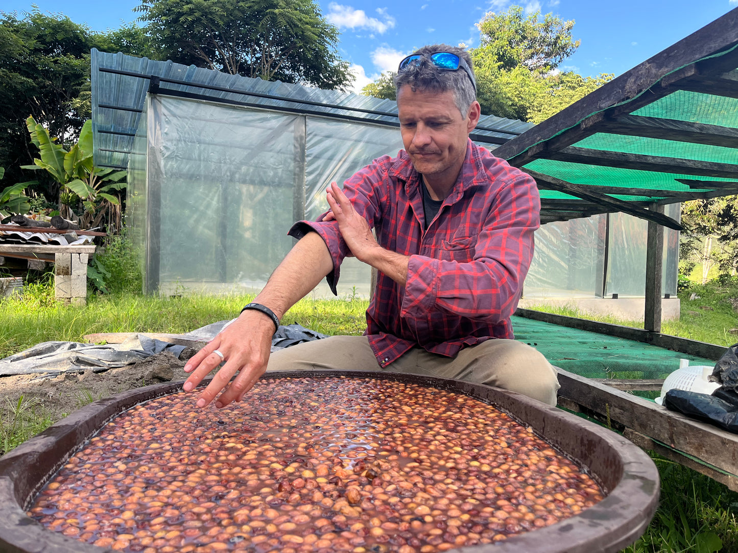 Ecuador Finca La Soledad, Typica Mejorado, TyOxy Washed