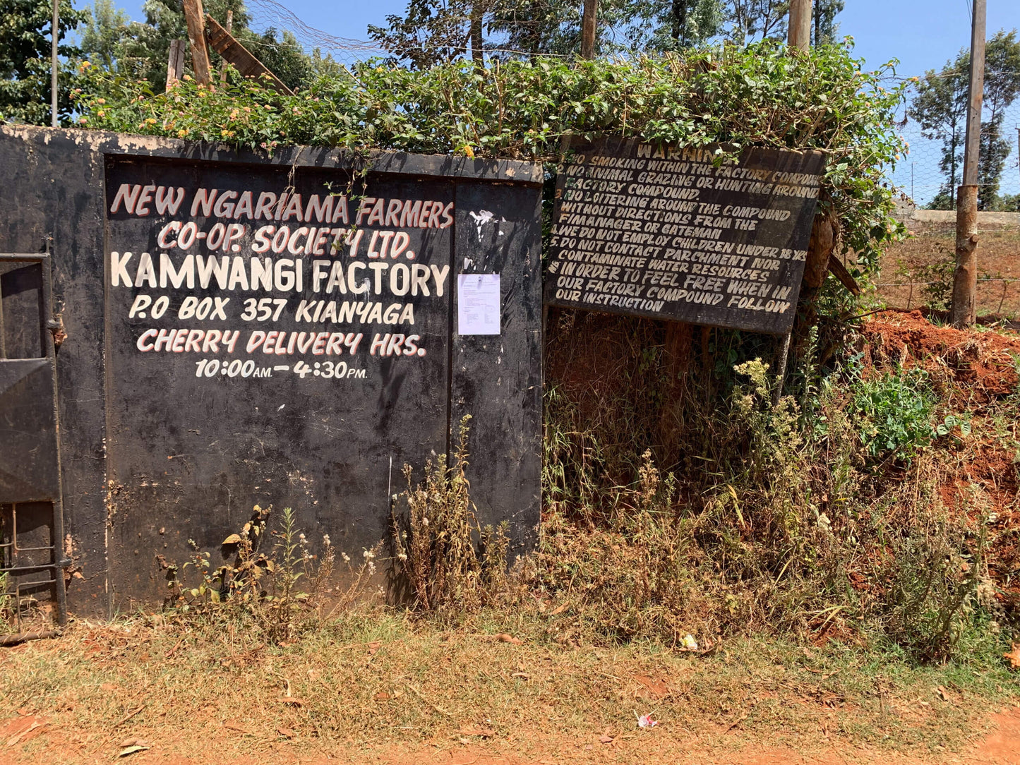 Kenya Kamwangi Factory, Washed