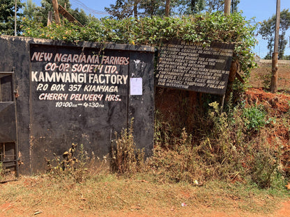 Kenya Kamwangi Factory, Washed