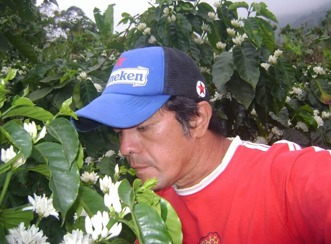 Ecuador Los Romerillos, Mixed Varieties, Washed
