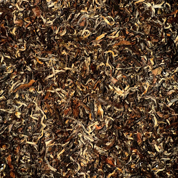 Waterloo Tea - Meghalaya