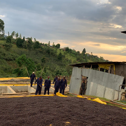 Ethiopia Hunkute, Washed