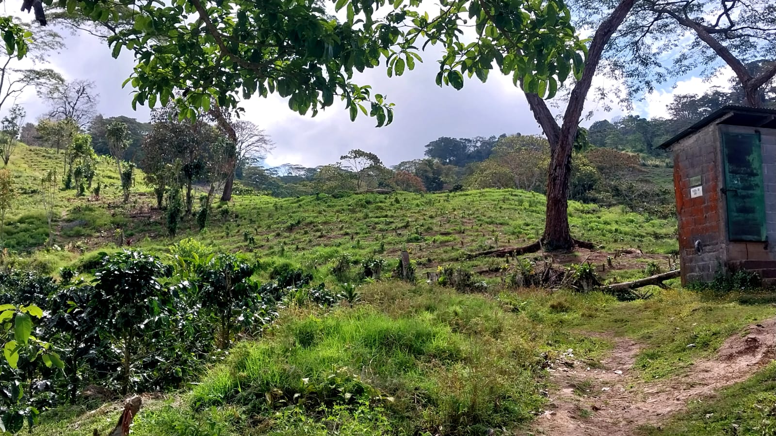 Nicaragua El Diablo Natural