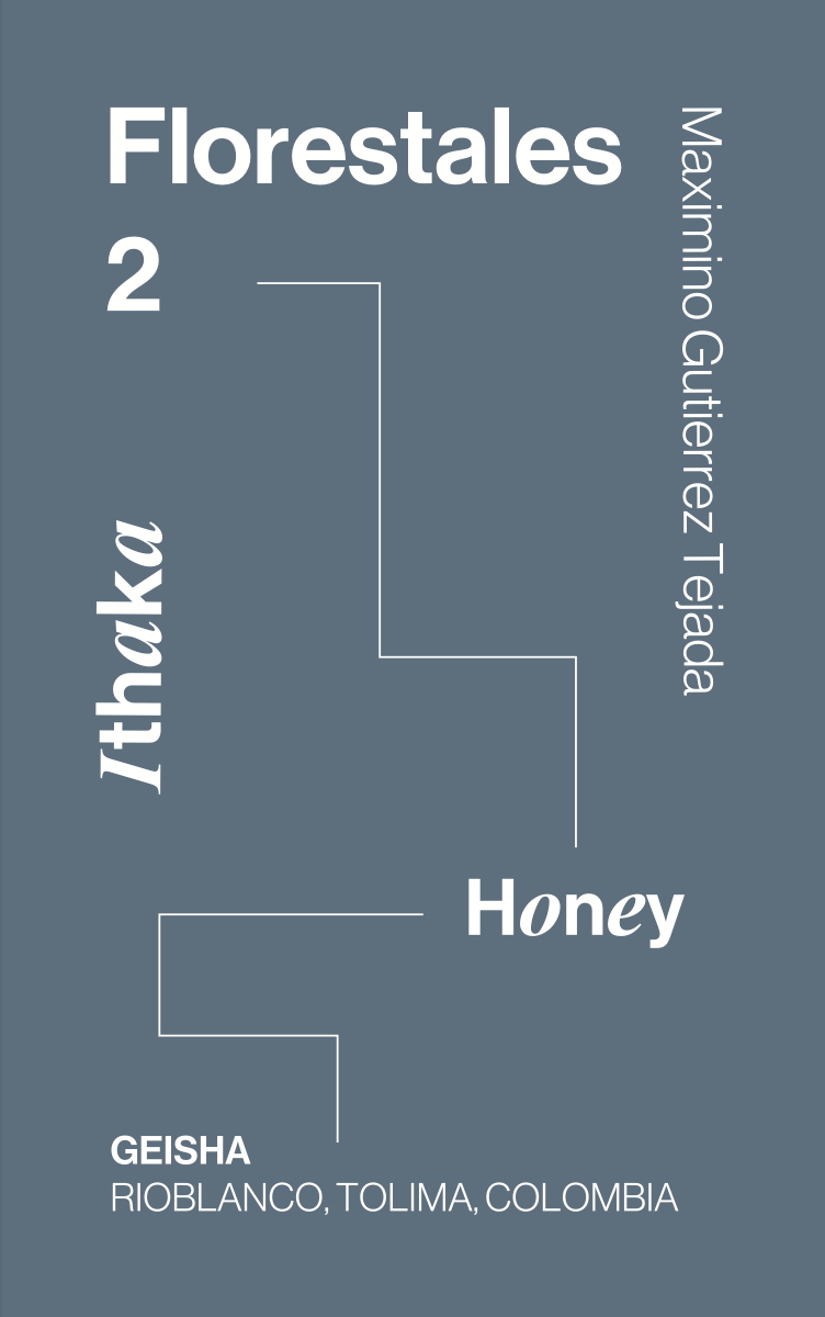 Colombia, Florestales 2, Honey Geisha