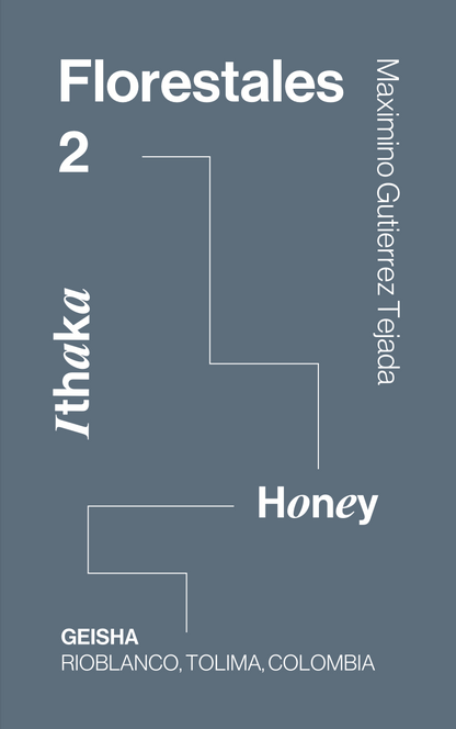 Colombia, Florestales 2, Honey Geisha