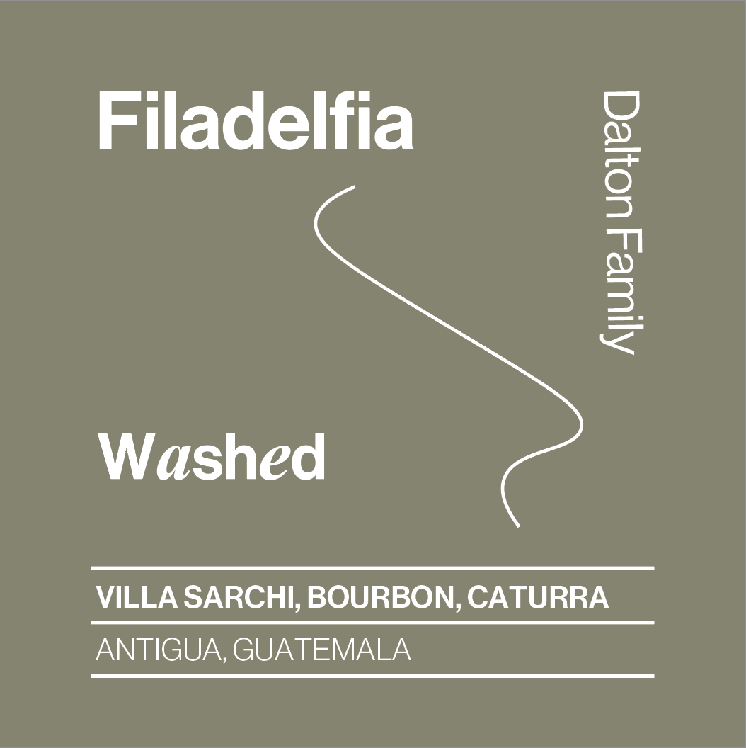 Guatemala Filadelfia, Mixed Varieties Washed