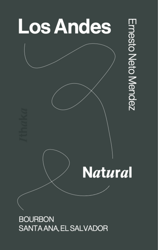 Los Andes Bourbon, Natural