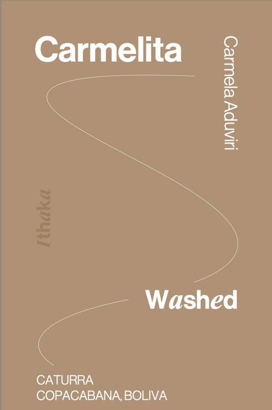 La Carmelita, Caturra, Washed