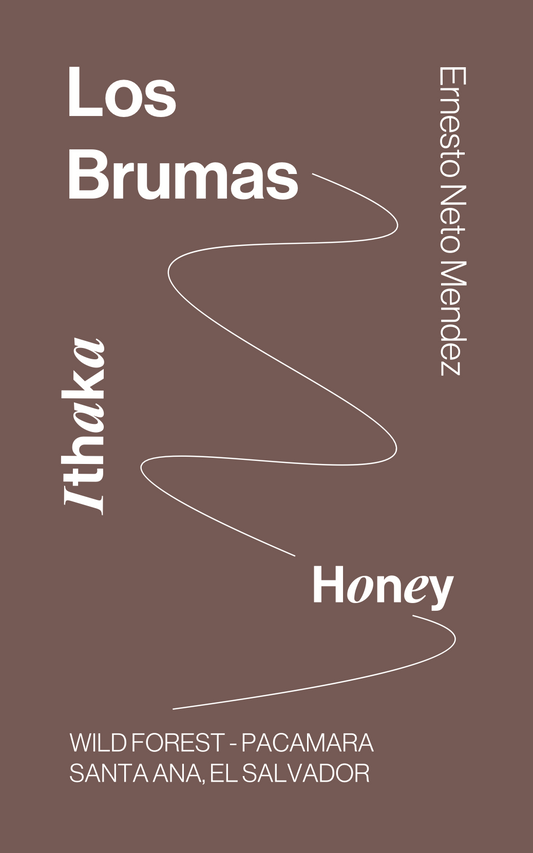 Las Brumas WIld Forest Pacamara Honey (125g)