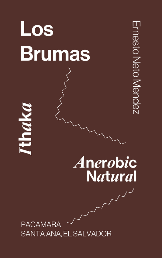 Las Brumas Pacamara & SL28, Anaerobic Natural