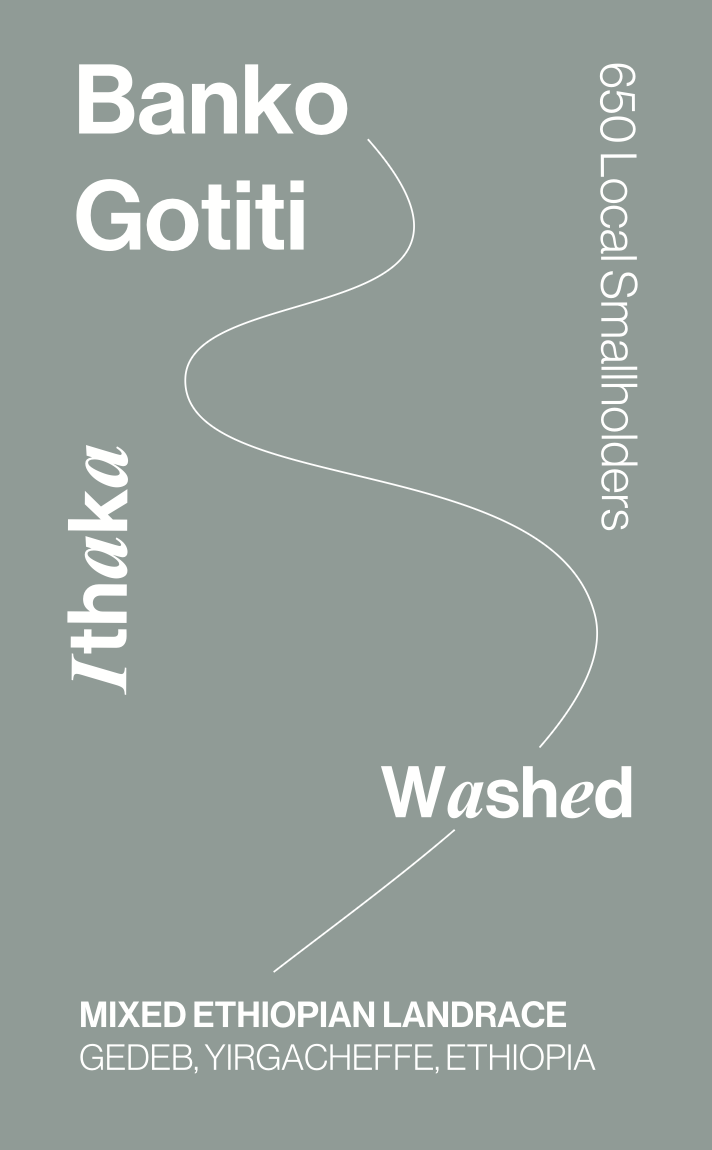 Ethiopia Banko Gotiti, Washed