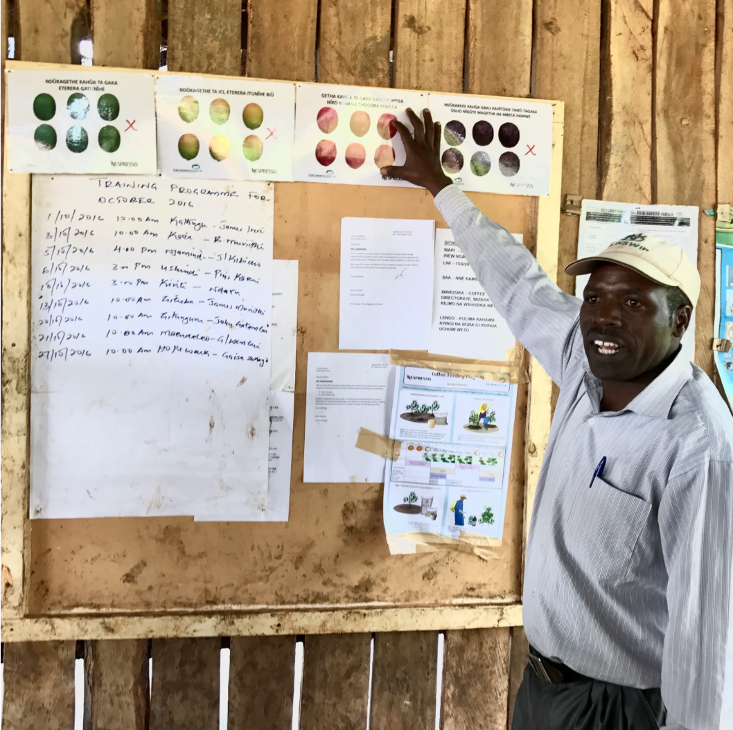 Kenya Kamwangi Factory, Washed