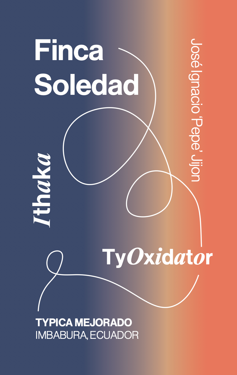 Ecuador Finca La Soledad, Typica Mejorado, TyOxy Washed