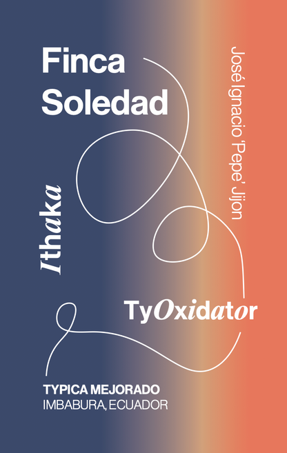 Ecuador Finca La Soledad, Typica Mejorado, TyOxy Washed