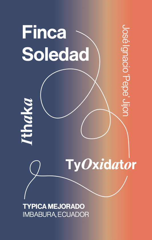 Ecuador Finca La Soledad, Typica Mejorado, TyOxy Washed