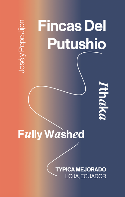 Ecuador Fincas Del Putushio, Typica Mejorado, Fully Washed