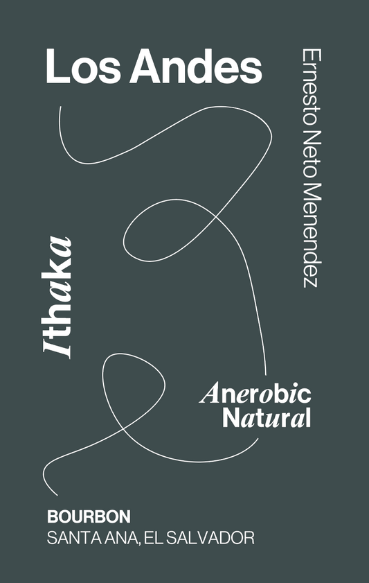 El Salvador Los Andes Bourbon, Anaerobic-Natural