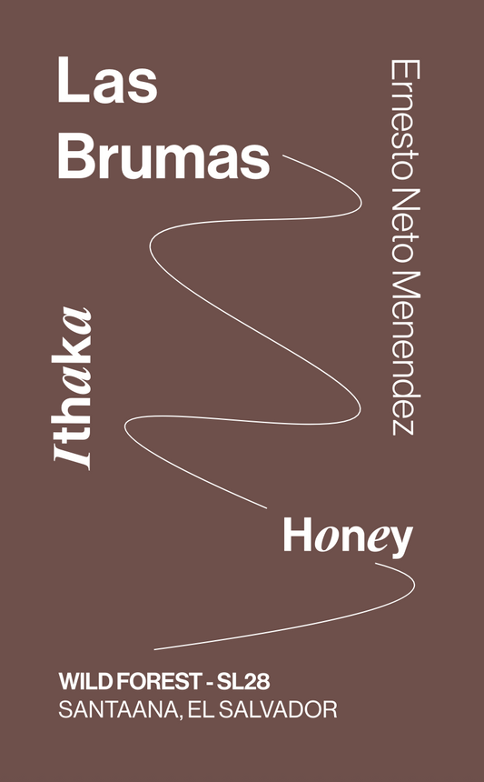 El Salvador, Las Brumas, Wild Forest SL28, Honey