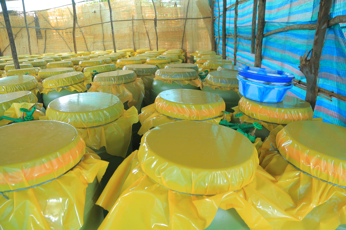 Ethiopia - Aricha